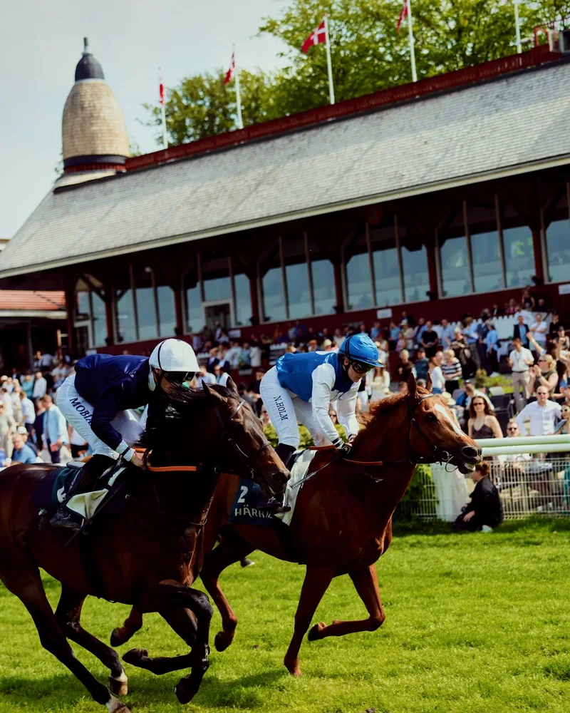 Derby Dage