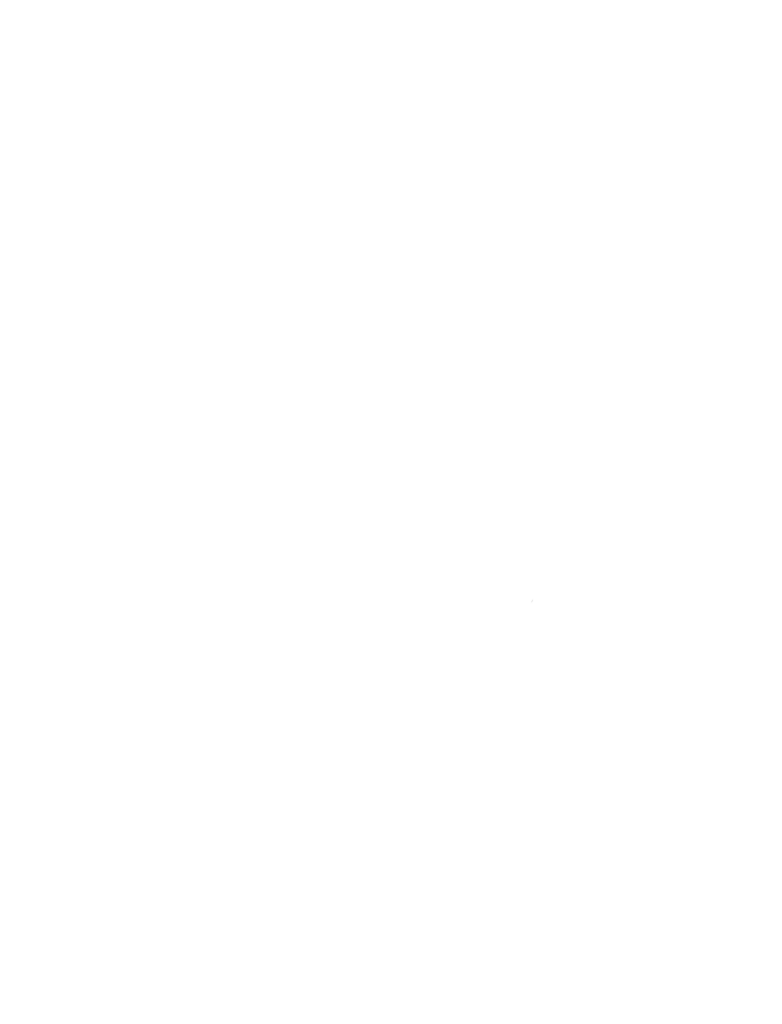 Vinterberg isbjorn hvid 2